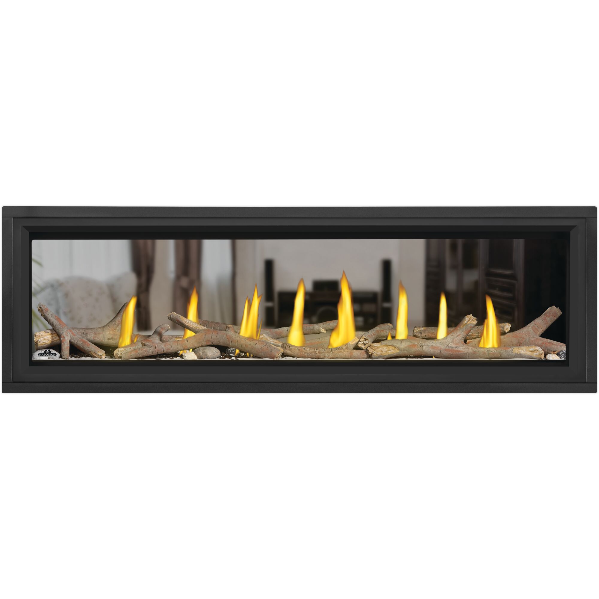 Napoleon Vector LV62 see through gas fireplace